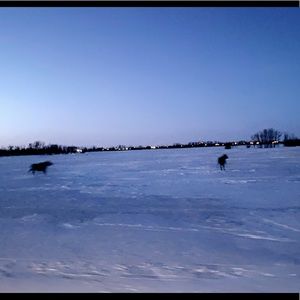 Meet your Posher, Tarren